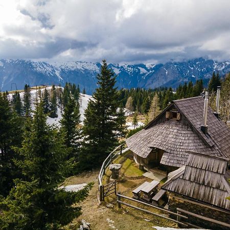 Alpine Chalet Velika Planina - Irenca - I Feel Alps Stahovica Ngoại thất bức ảnh