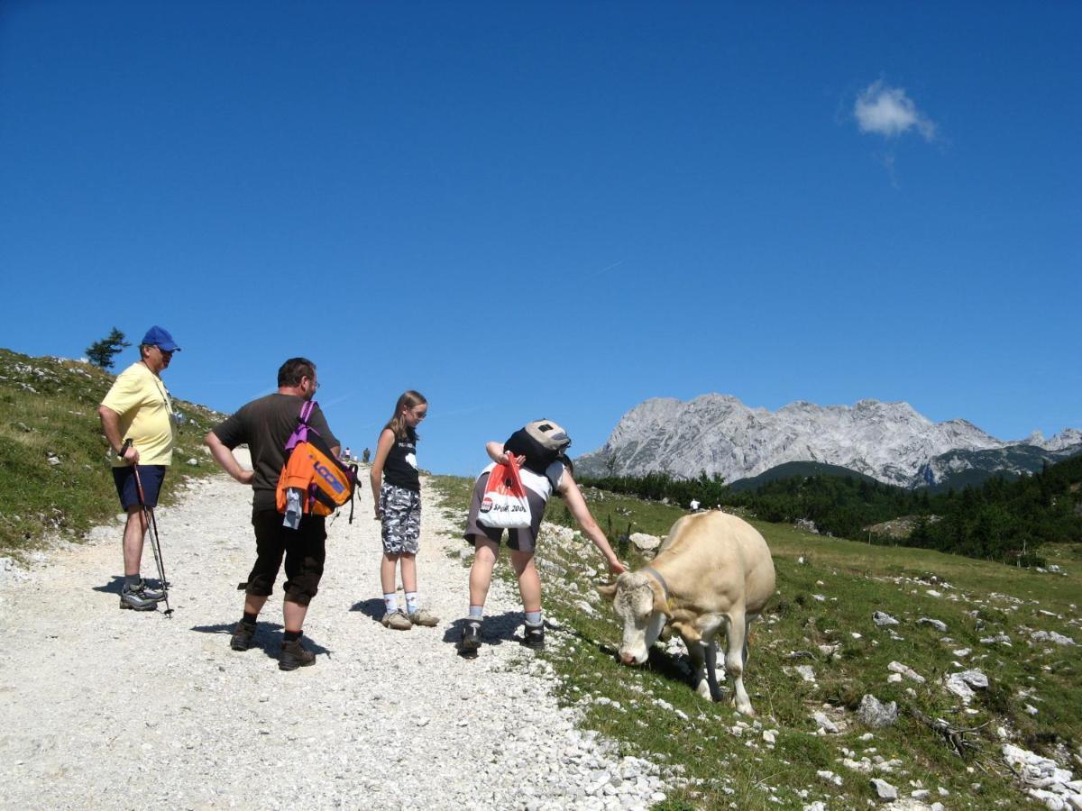 Alpine Chalet Velika Planina - Irenca - I Feel Alps Stahovica Ngoại thất bức ảnh